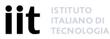 IIT_logo