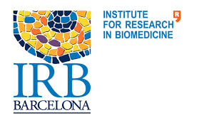 IRB